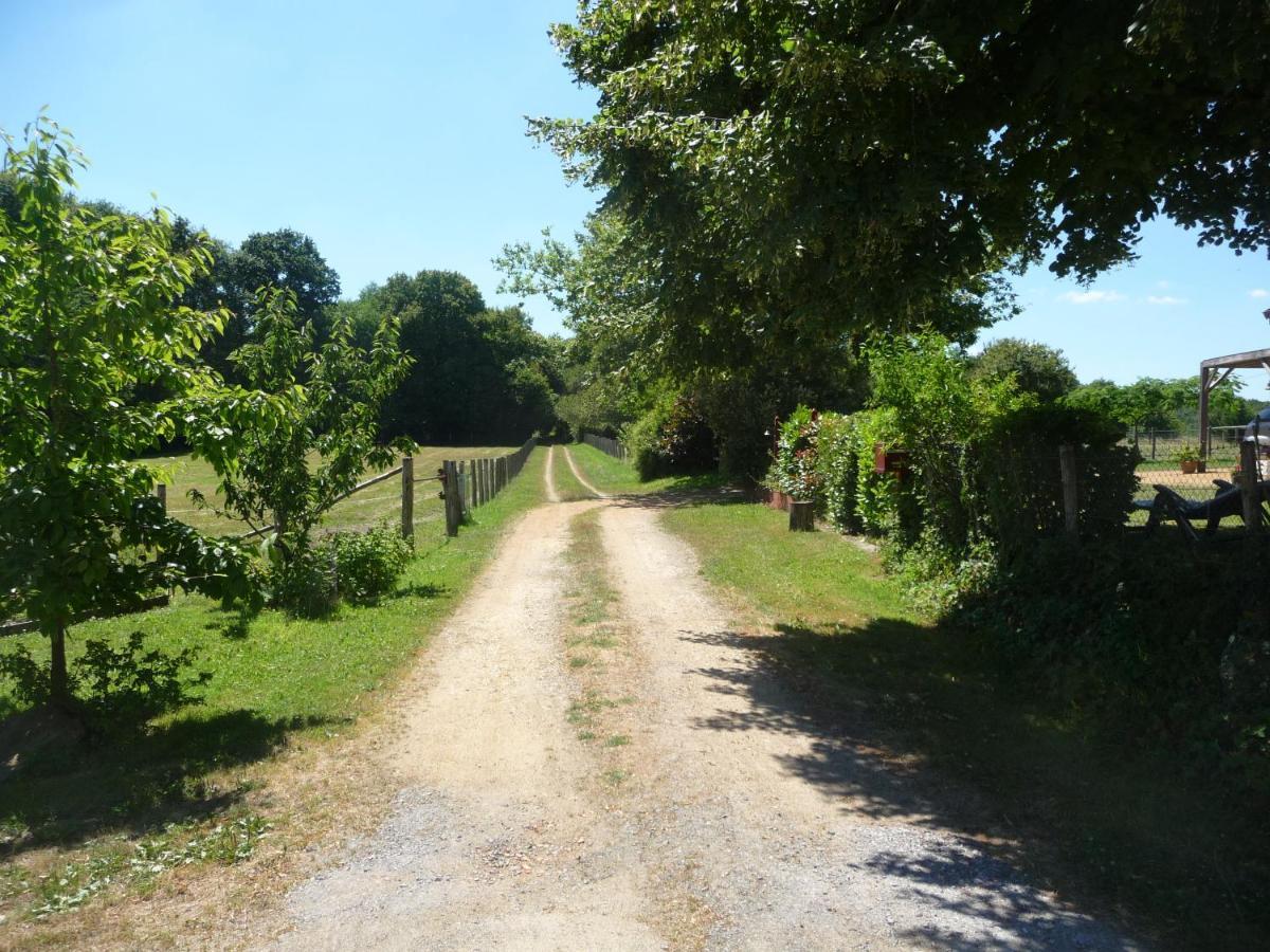 Chambre D'Hote En Vallee Du Loir - Elevage Des Rosiers Bazouges-sur-le-Loir Экстерьер фото
